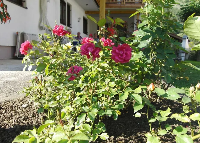 公寓 瓦克公寓 *