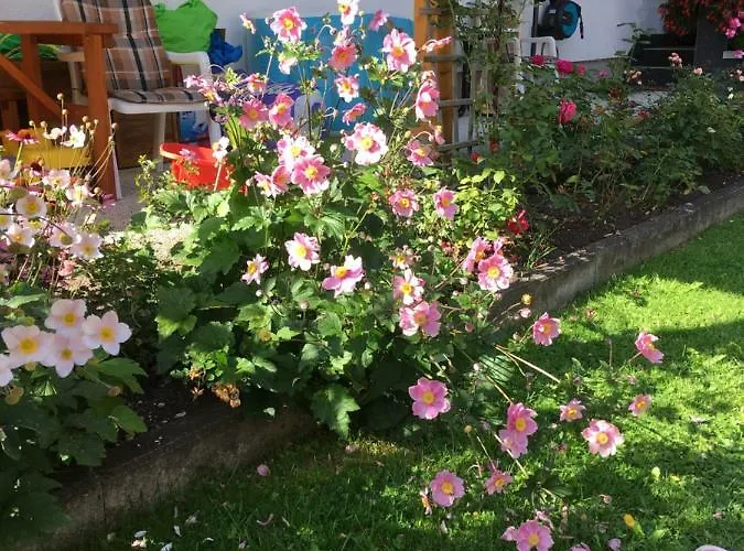 Wacker Apartamento *